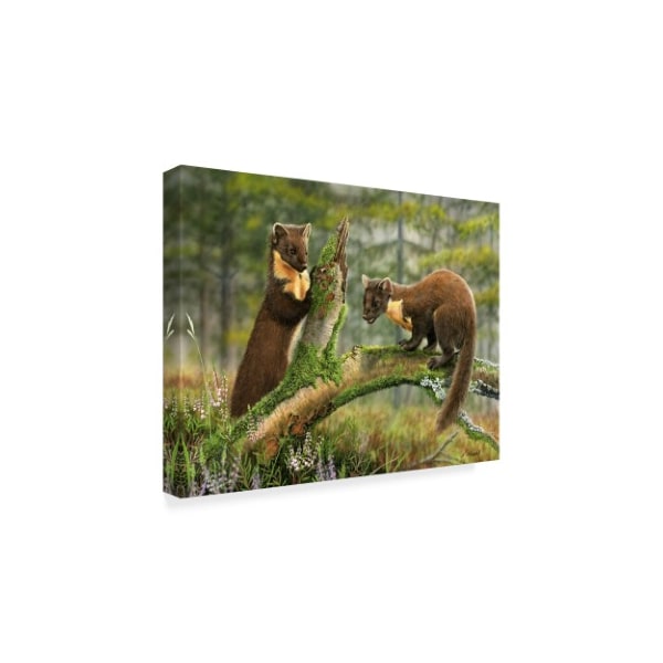 Nigel Artingstall 'Pine Martens' Canvas Art,18x24